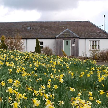 Dalnoid Cottages & Treehouses Nr Glenshee Luaran gambar