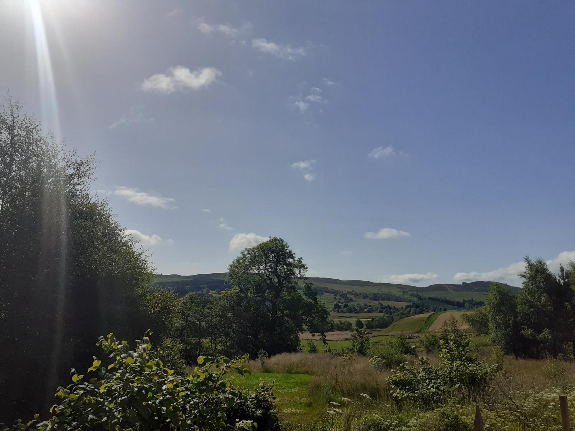 Dalnoid Cottages & Treehouses Nr Glenshee Luaran gambar
