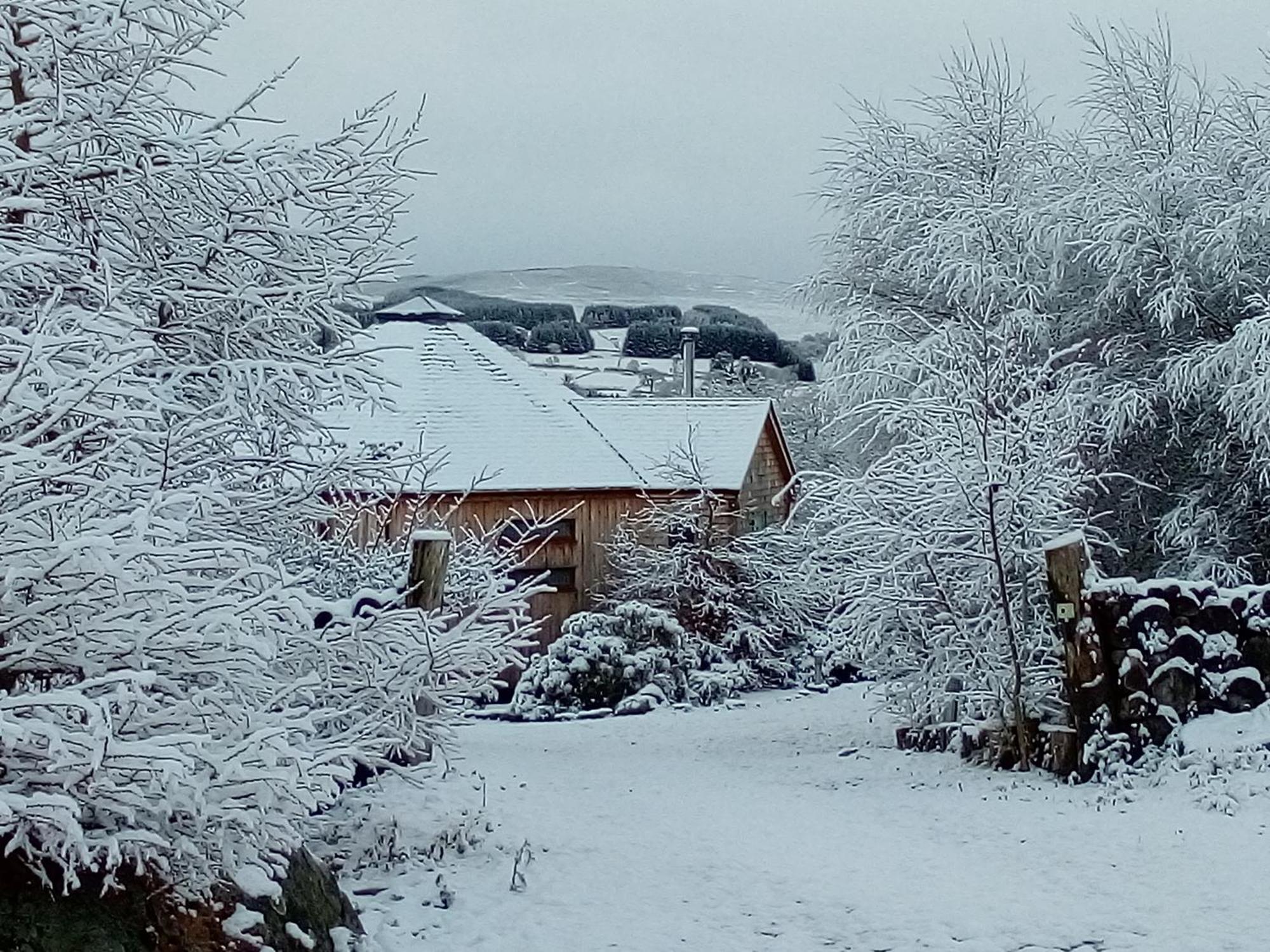 Dalnoid Cottages & Treehouses Nr Glenshee Luaran gambar